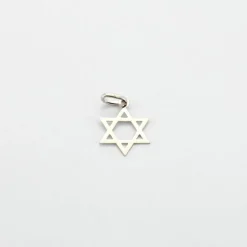 Pendentif étoile de David Or blanc