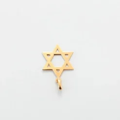 Pendentif étoile de David or jaune