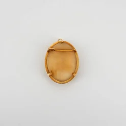 Pendentif transformable Camée