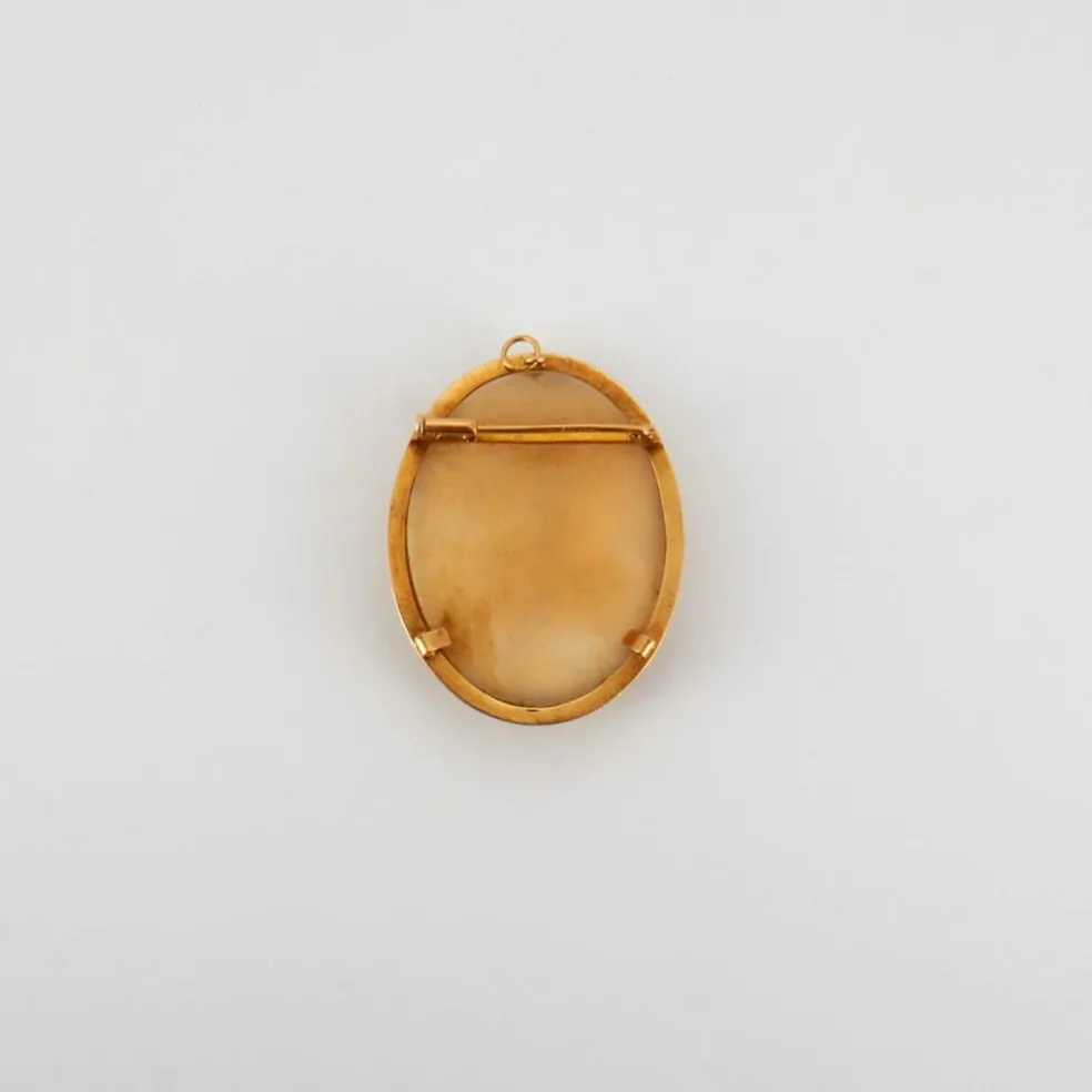 Pendentif transformable Camée