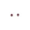 Puces D'oreilles Diamants & Rubis