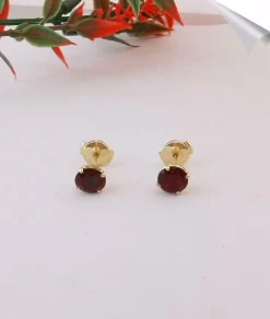 Puces d'oreilles Grenats Ø 6 mm